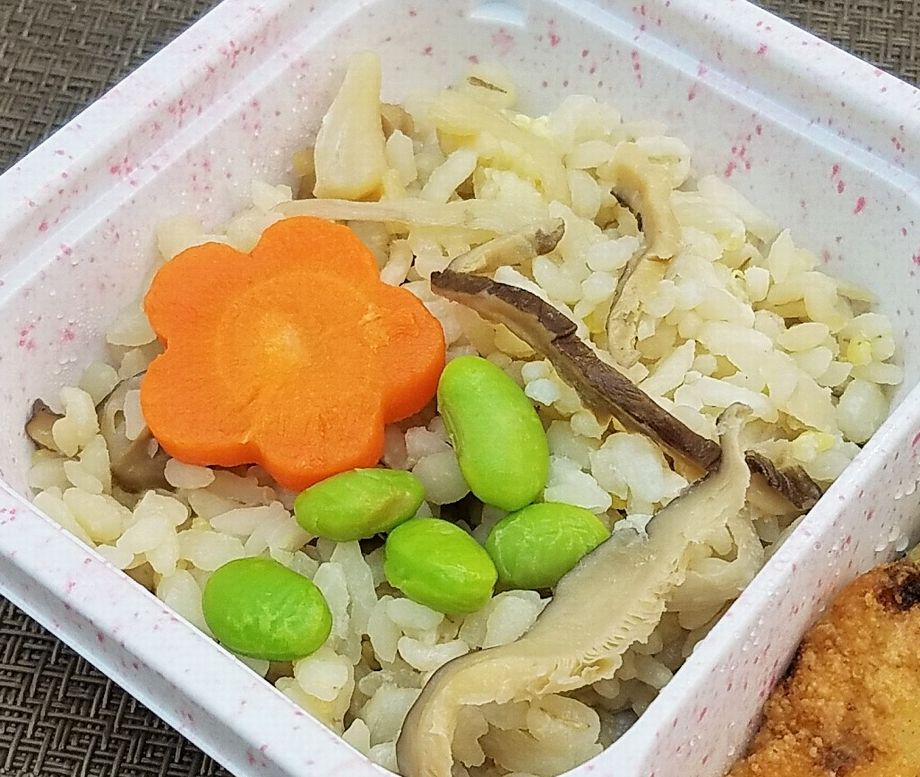 ニチレイ ウーディッシュ 和ごはんと豆腐のひき肉包み揚げ を食べました こせたん宅配弁当